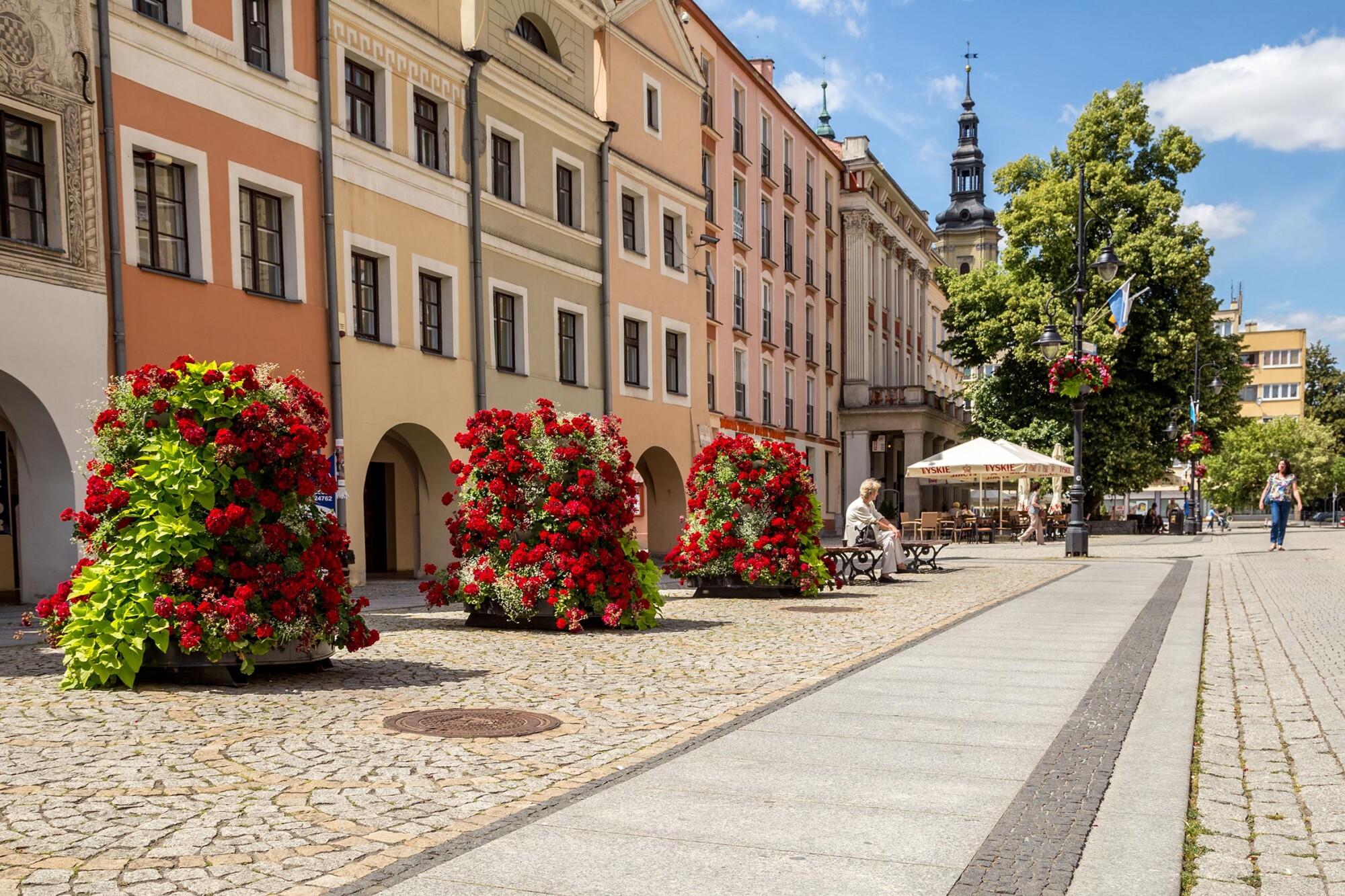 Kamieniczki Śledziowe i Sgraffita